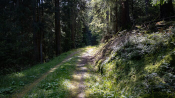 breiter Wanderweg ins Brotenautal