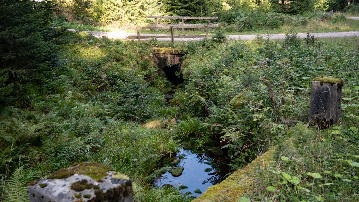 Wanderweg am Seegraben