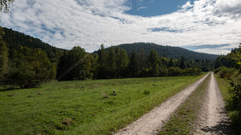 Wanderweg über die Grosse Wiese an der Eyach