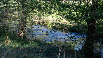 Bachlauf der Eyach