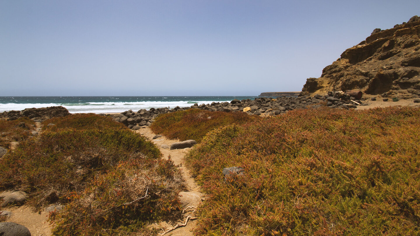 Wanderpfad durch buschige Pflanzen zum Strand