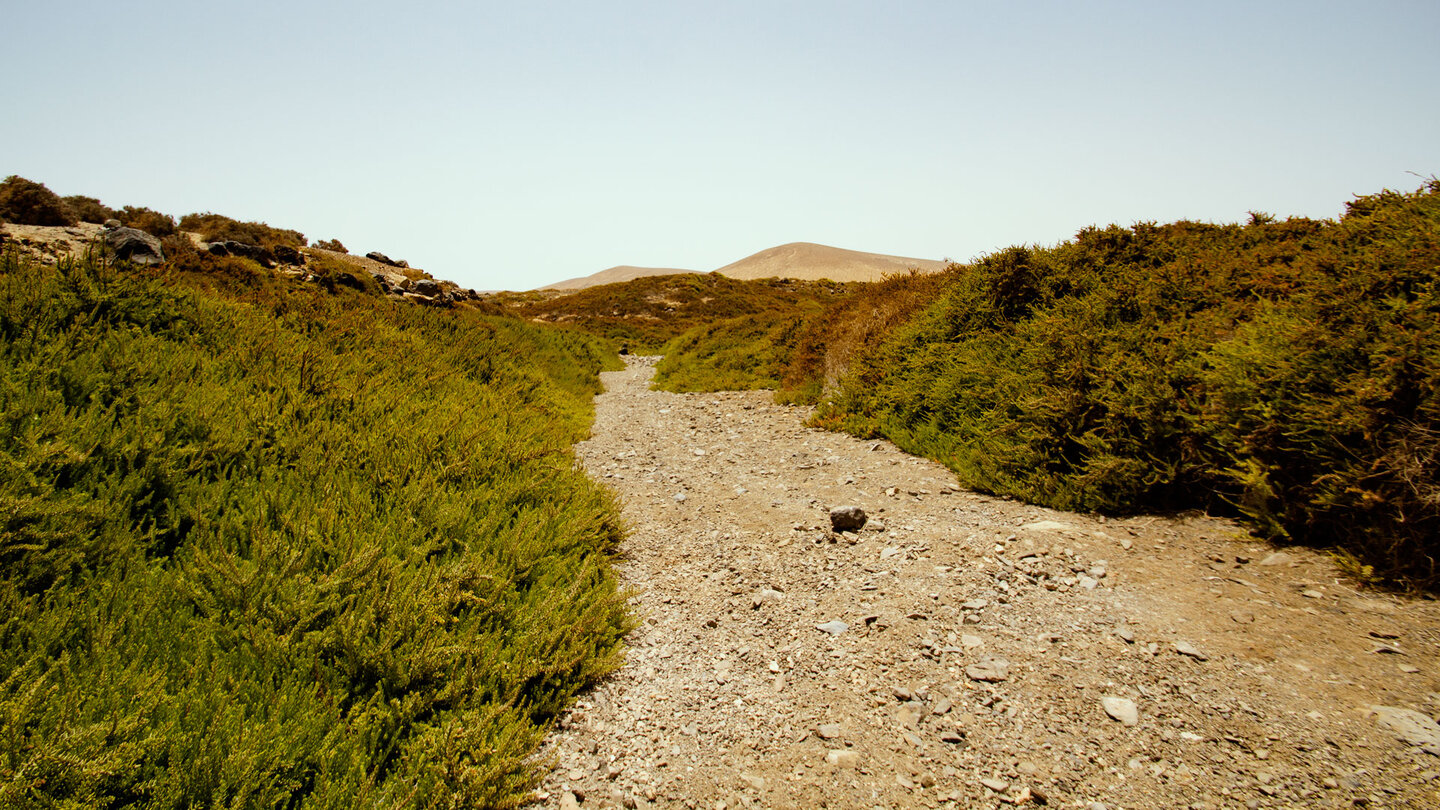 Wanderweg in der Jarugo-Schlucht