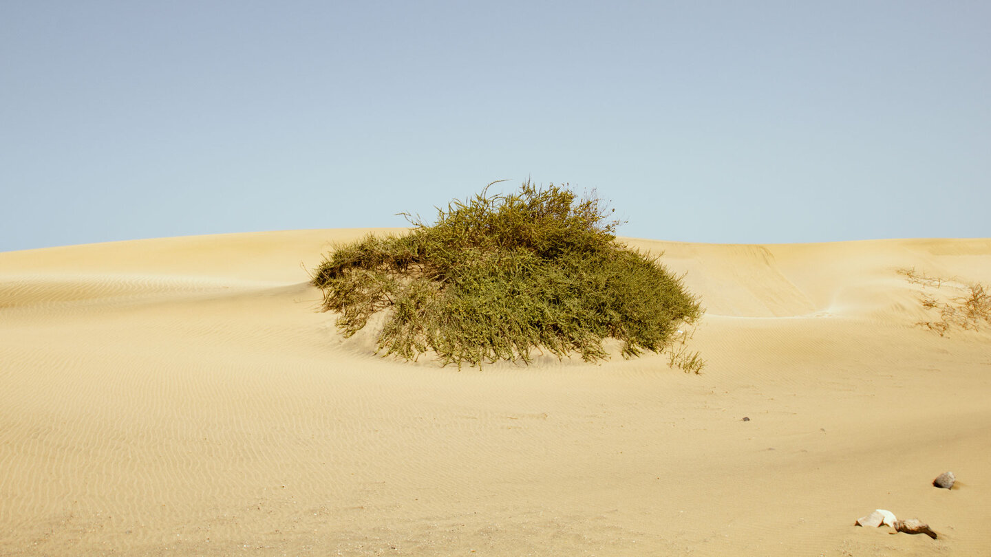 erstaunliche Dünenlandschaft an der Playa de Jarugo