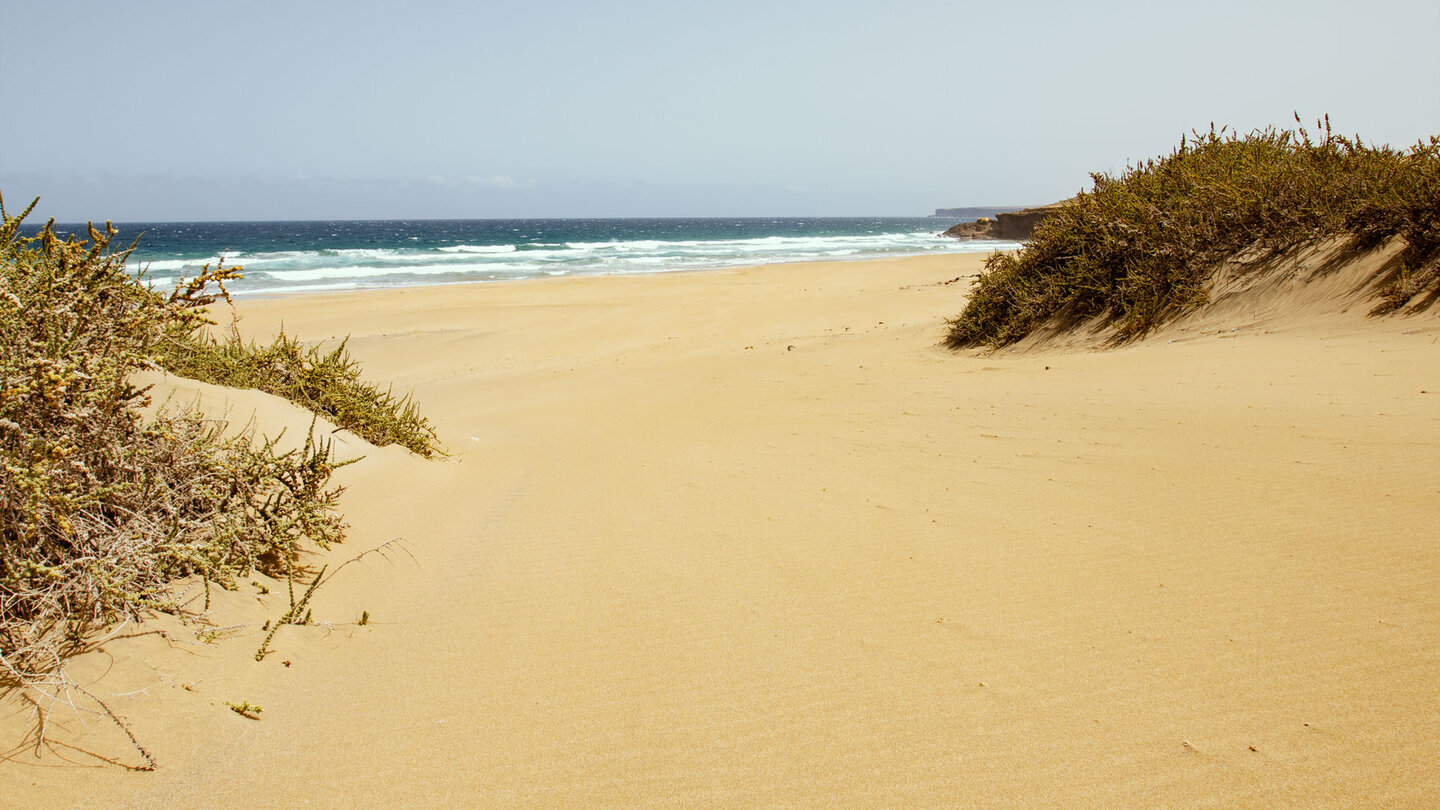 Blick durch die Dünen auf die weite Sandfläche