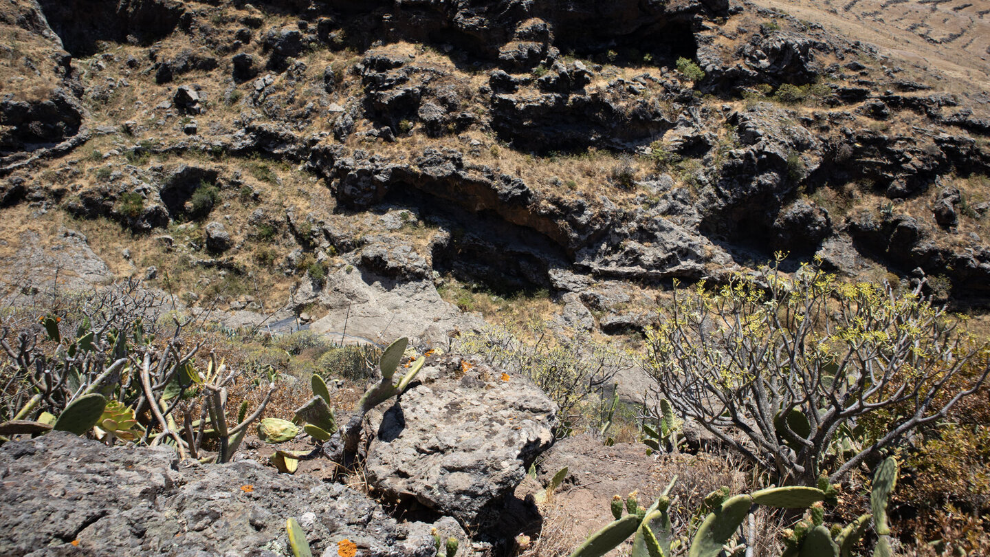 Blick vom Wanderweg in die Schlucht Barranco de las Cuevas