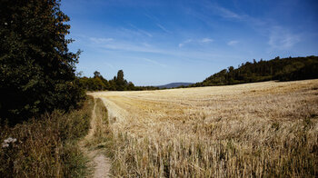 Wanderpfad entlang der Hochebene