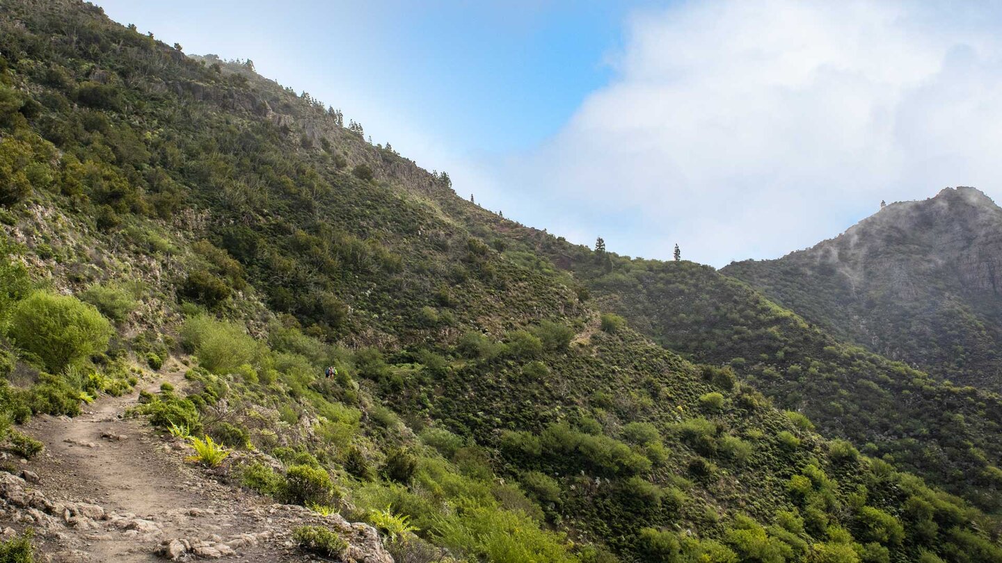 idyllischer Wanderpfad unterhalb des Cruz de Gala