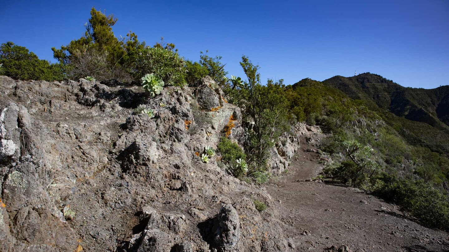 Wanderpfad entlang der Cumbre mit Blick auf den Cruz de Gala mit Antennenmasten