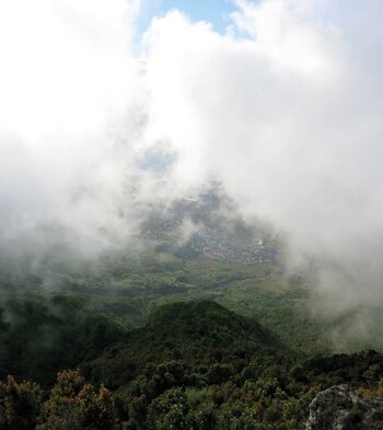 Blick vom Mirador de la Llanía auf den Lorbeerwald an den Steilwänden des El Golfo Tals auf El Hierro