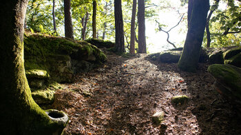 auf dem Felsplateau der Hohlen Felsen