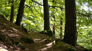 Wanderweg zum Felsriff Hohle Felsen