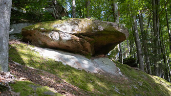 bemooste Felsformationen am Endstück der Hohlen Felsen