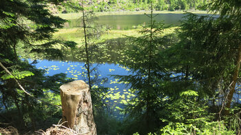 Blick auf den Huzenbacher See bei der Seeumrundung