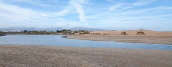 der Charco de Maspalomas auf Gran Canaria grenzt die Dünen von Maspalomas im Westen ein