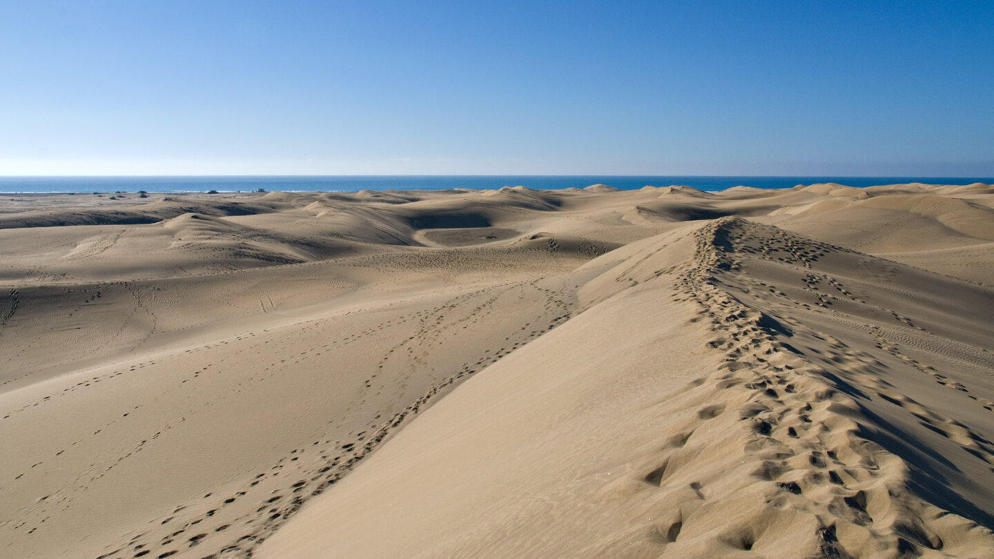 Blick über die Dünen von Maspalomas auf Gran Canaria