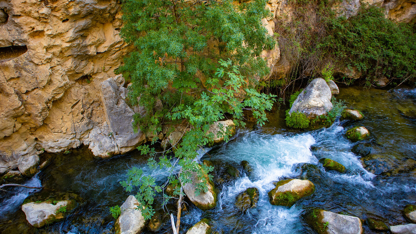 Bachlauf des Río Castril