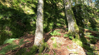 Felswände entlang der Wanderroute unterhalb der Spitzköpfe