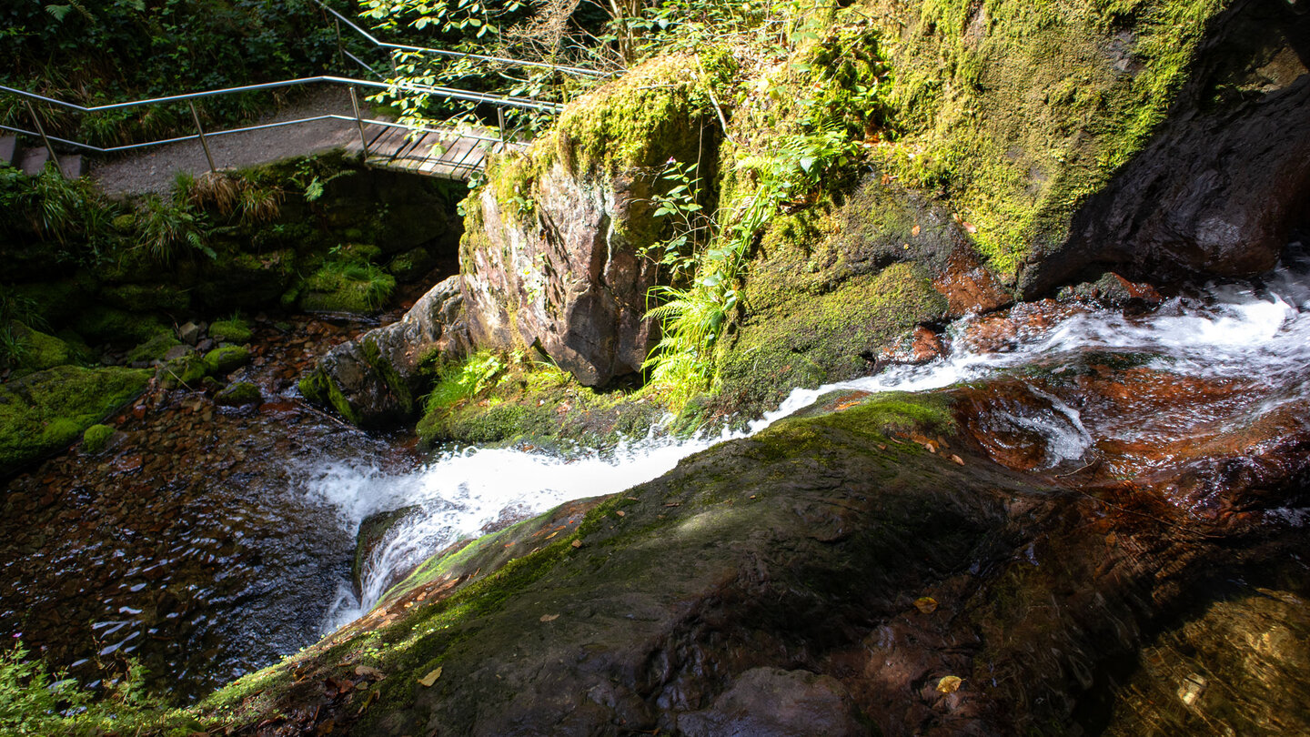 Wanderweg am Edelfrauengrab-Wasserfall