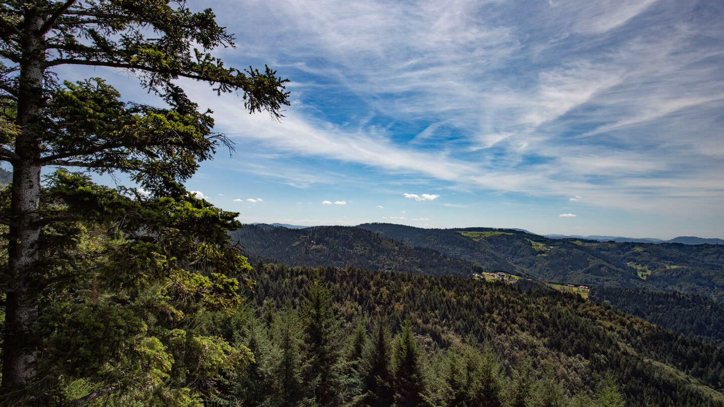 die Wanderung zum Ruhestein bietet Ausblicke über den Nordschwarzwald