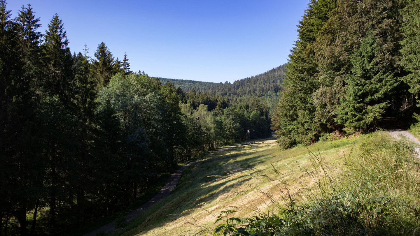 die Wanderroute verläuft in einer Schleife durchs Bösellbach-Tal