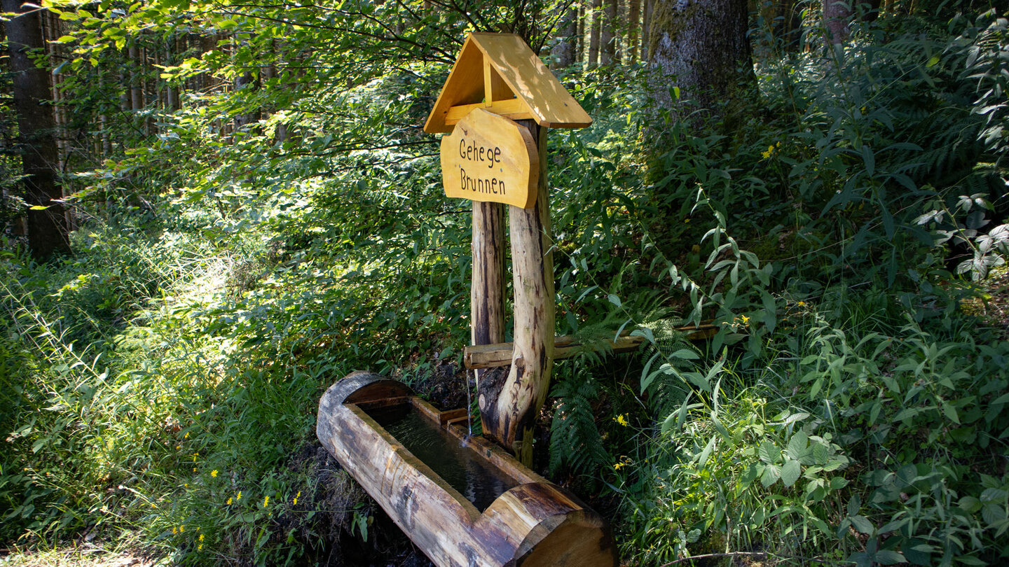 der Gehegebrunnen am Wildgehege Ellbach