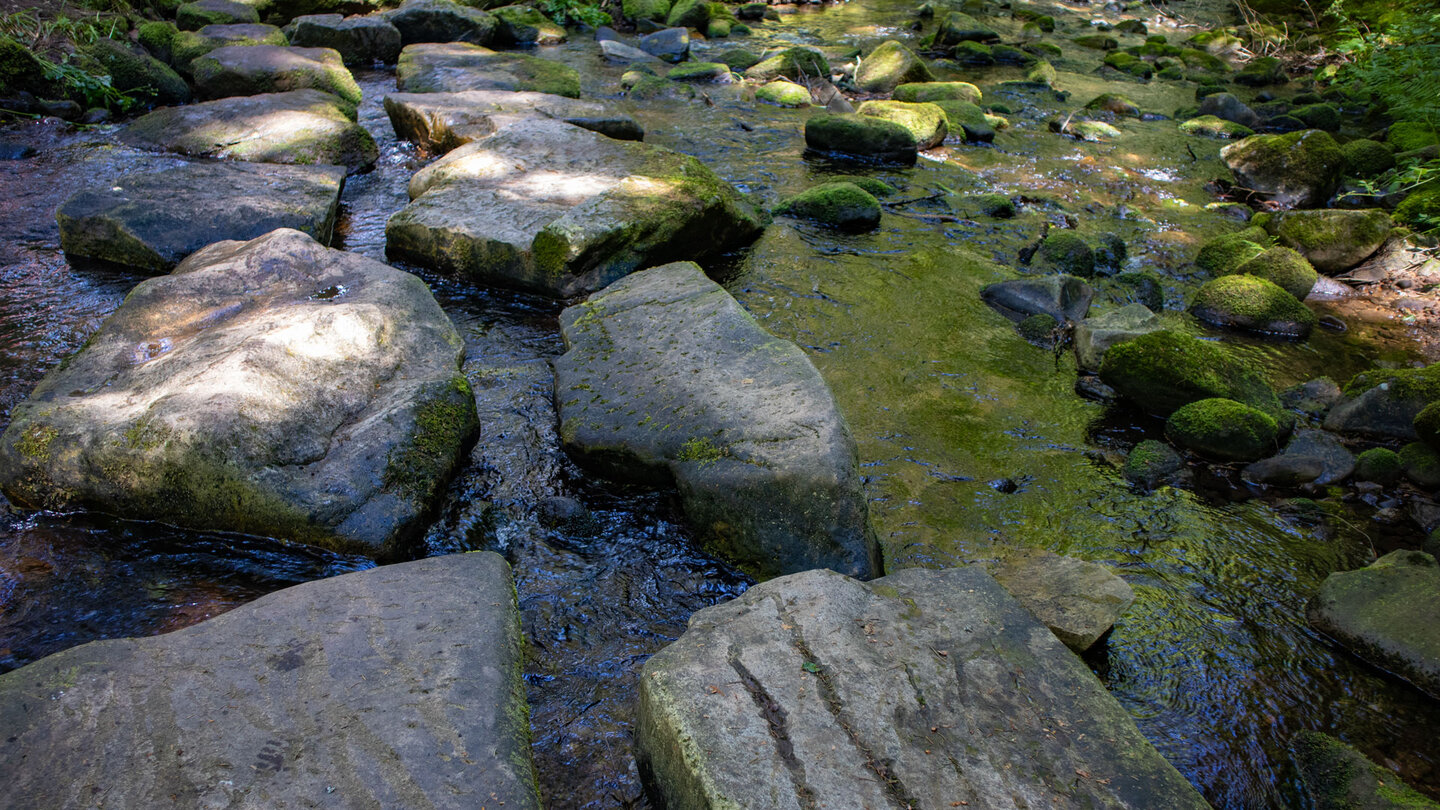 Trittsteine an der Furt des Guten Ellbach