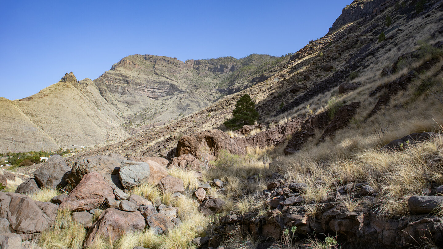 wandern mit Blick auf den Roque Faneque im Naturpark Tamadaba