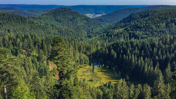 Ausblick vom Ellbach Seeblick