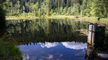 Blick über den Ellbachsee