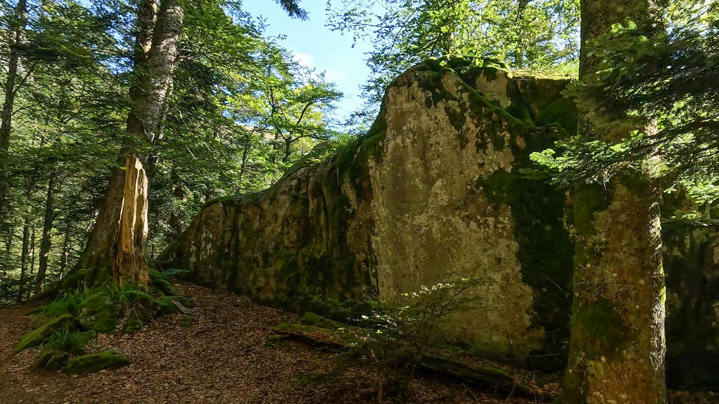 Felsen entlang der Wanderung durch eine Waldschlucht zum Wormspel