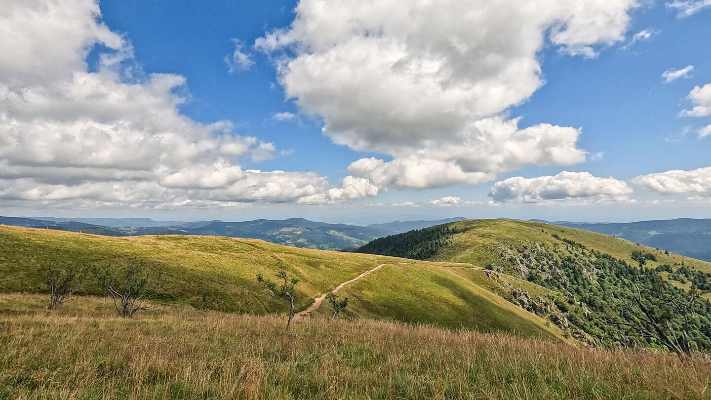 Wanderroute zum Col du Schaeferthal und Petit Hohneck