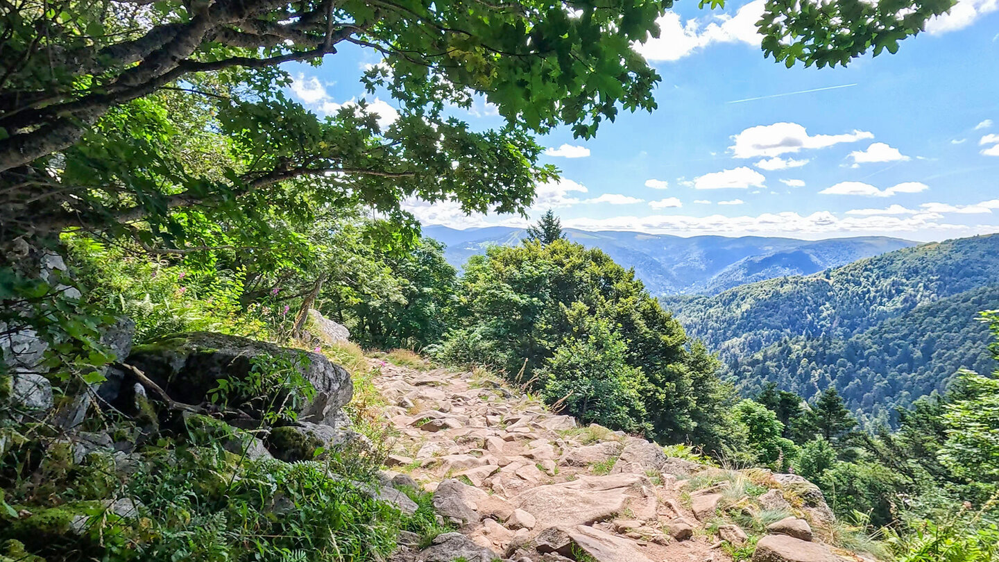 Felsenweg entlang der Bergflanke der Petit Hohneck