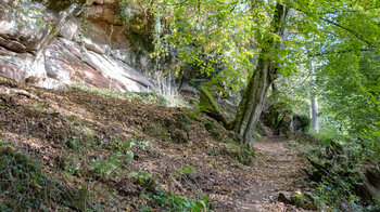 Wanderung zur Ruine Ramstein