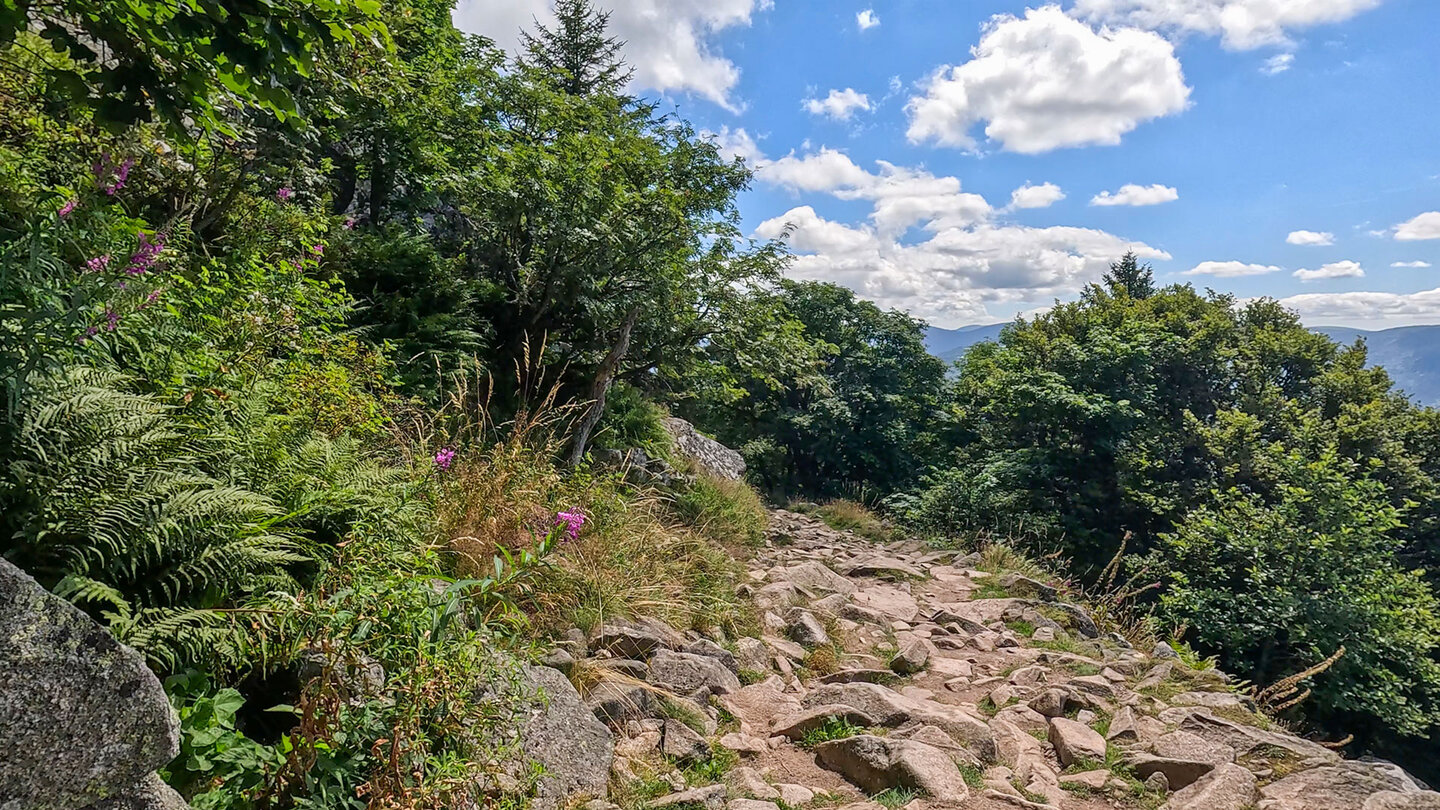 rauer Felsenweg zur Ferme Auberge du Schiessroth