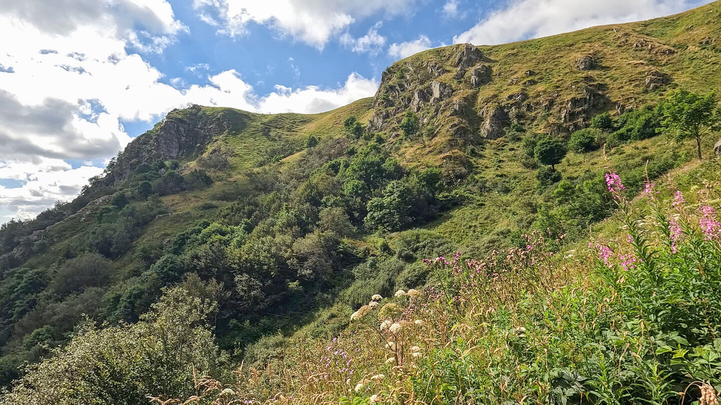 Felslandschaft der Vogesen bei Wormspel