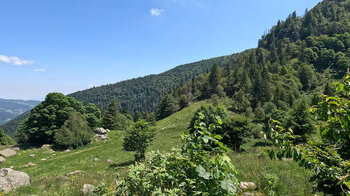 Wanderpfad Sentier de la Bloy bei Frankenthal