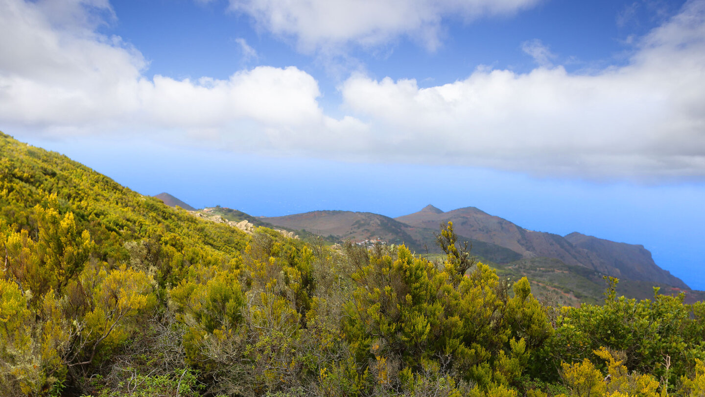 Blick von den Cumbres de Baracán über Baumheidevegetation nach Teno Alto