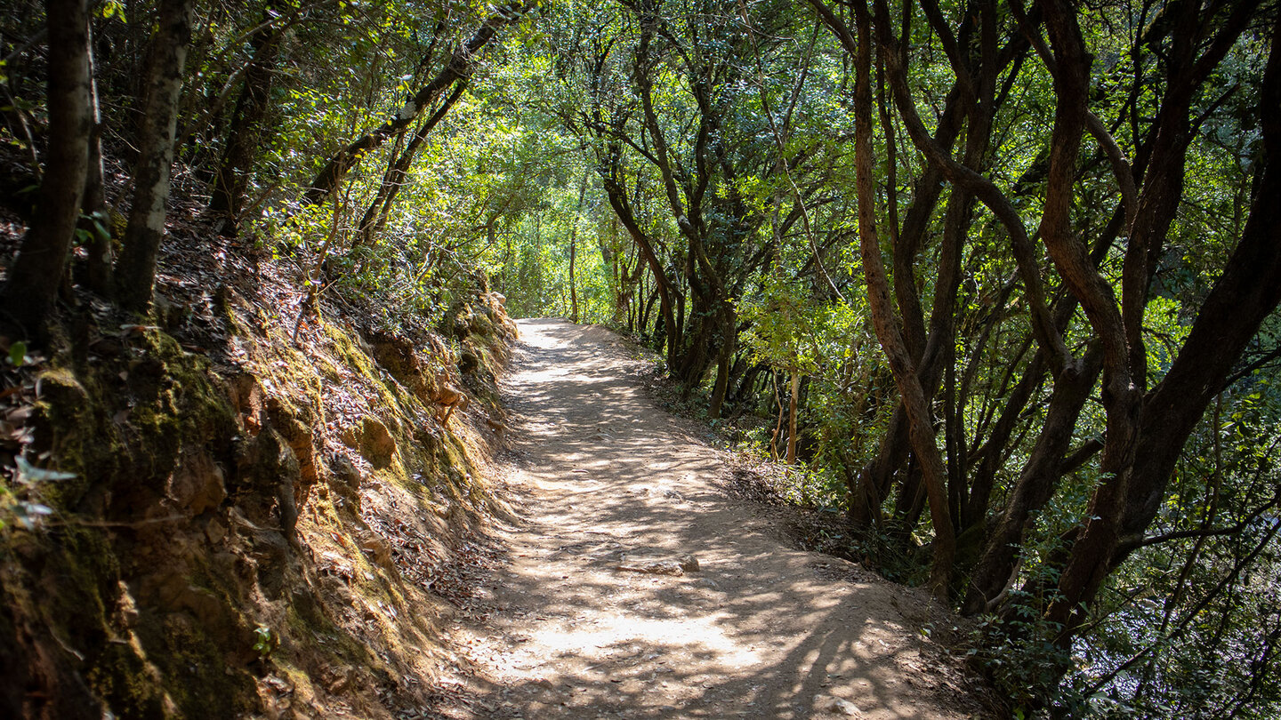 Wanderung am Ufer des Río Borosa