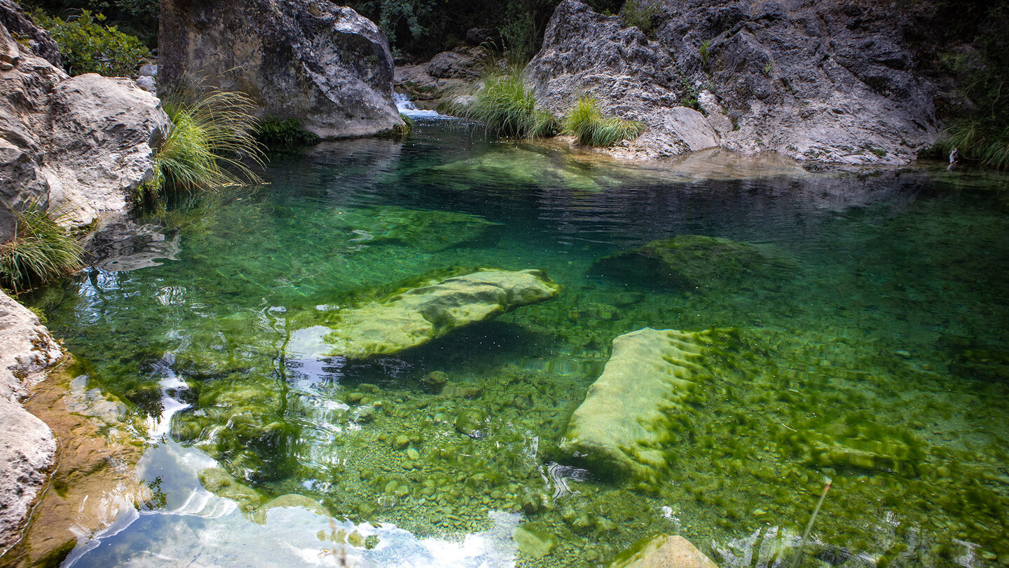 smaragdgrünes Wasserbecken des Río Borosa