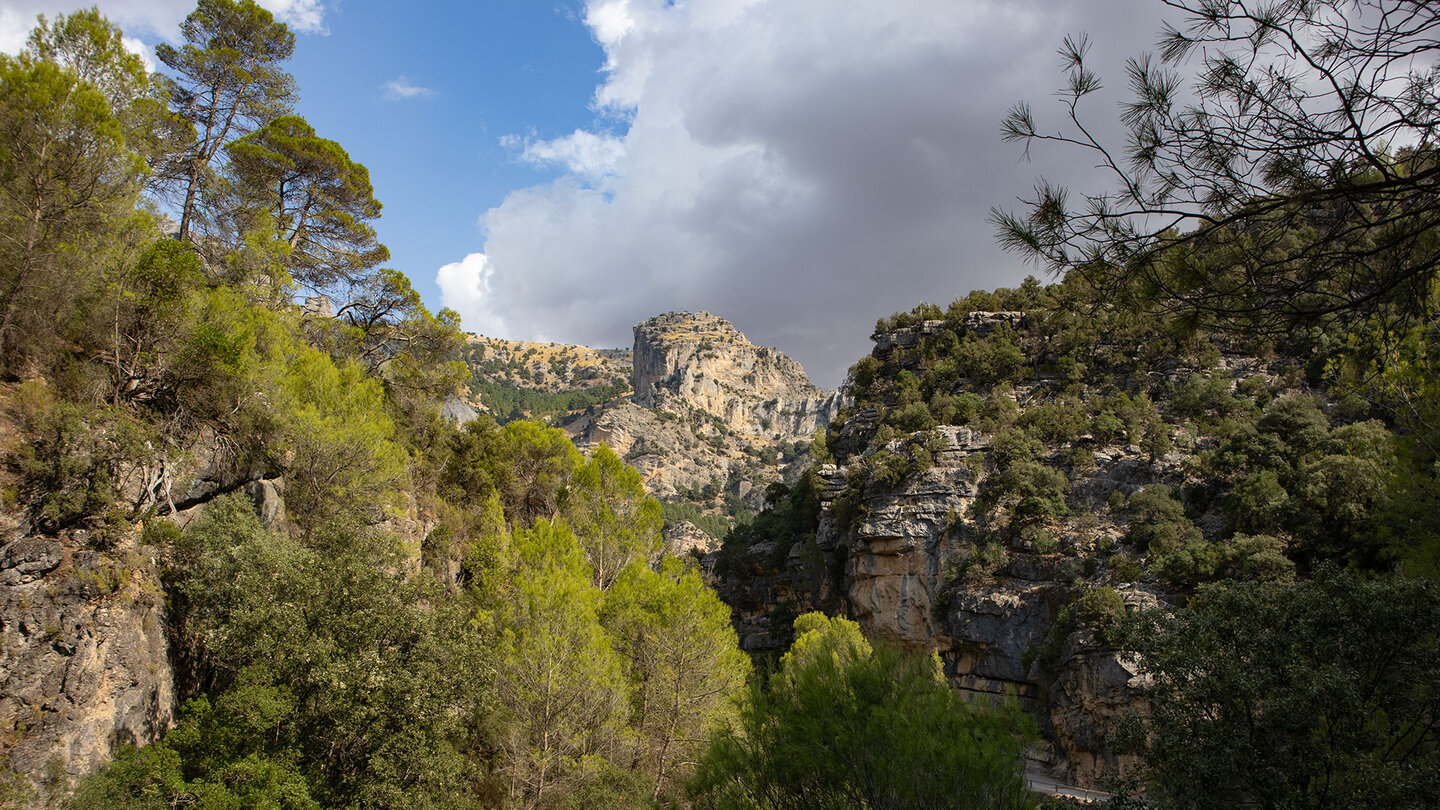 Blick zum Picón del Haza de Abajo