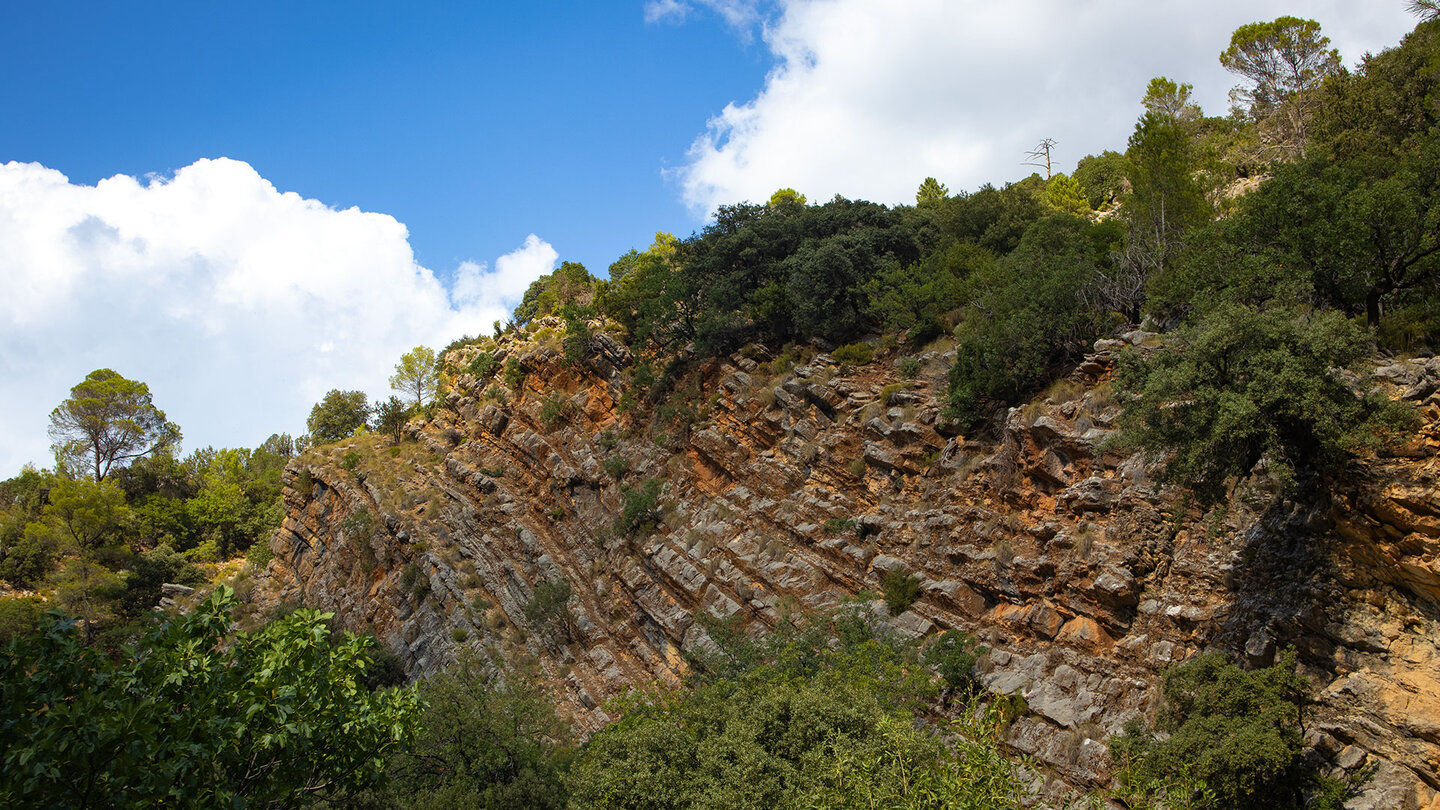 Gesteinsadern über der Schlucht des Río Borosa