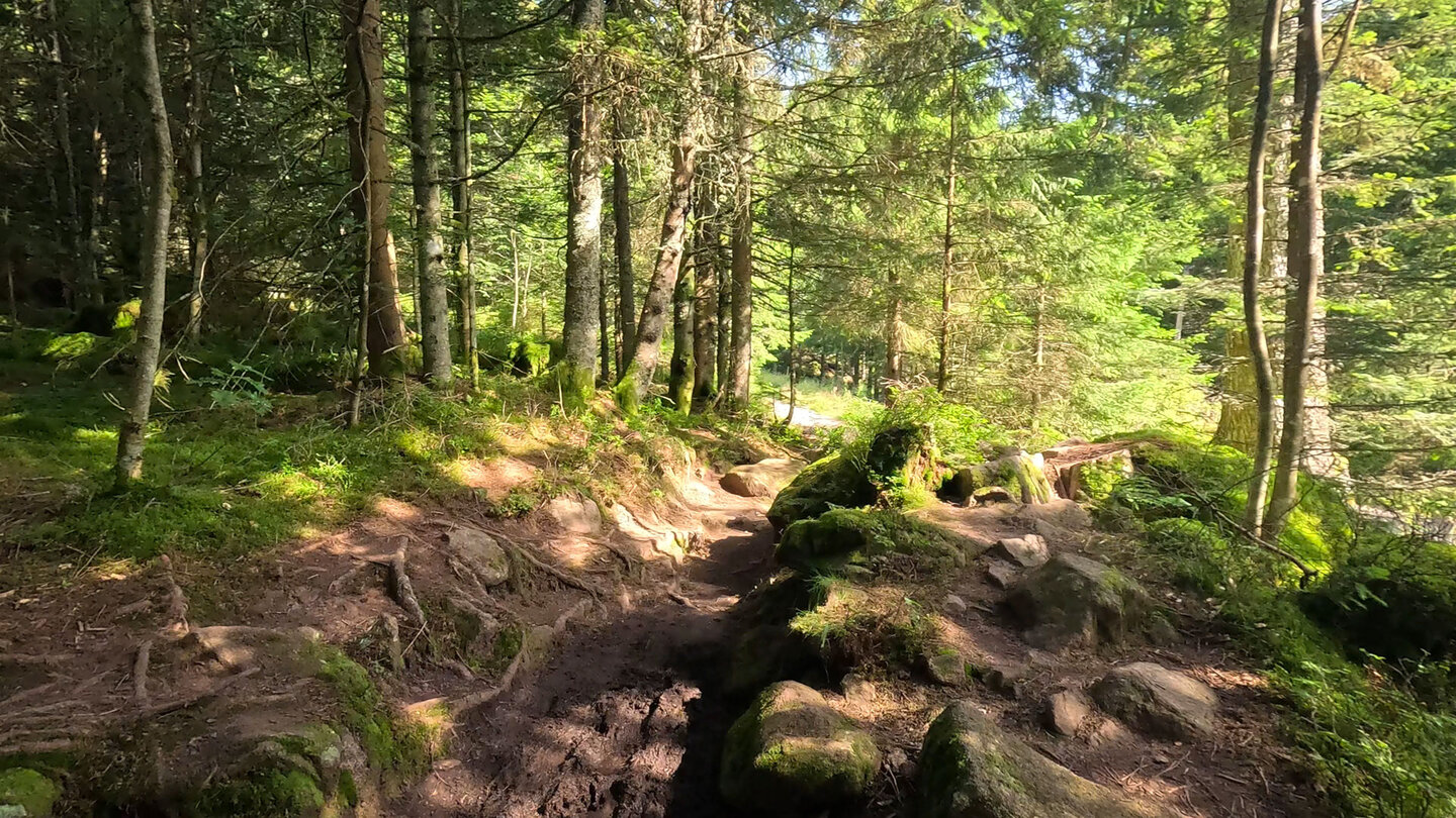 Wanderweg vom Seestäedtle zum Lac Vert