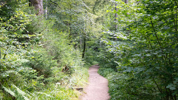 der Rückweg der Rundtour führt entlang des Müllerwegs