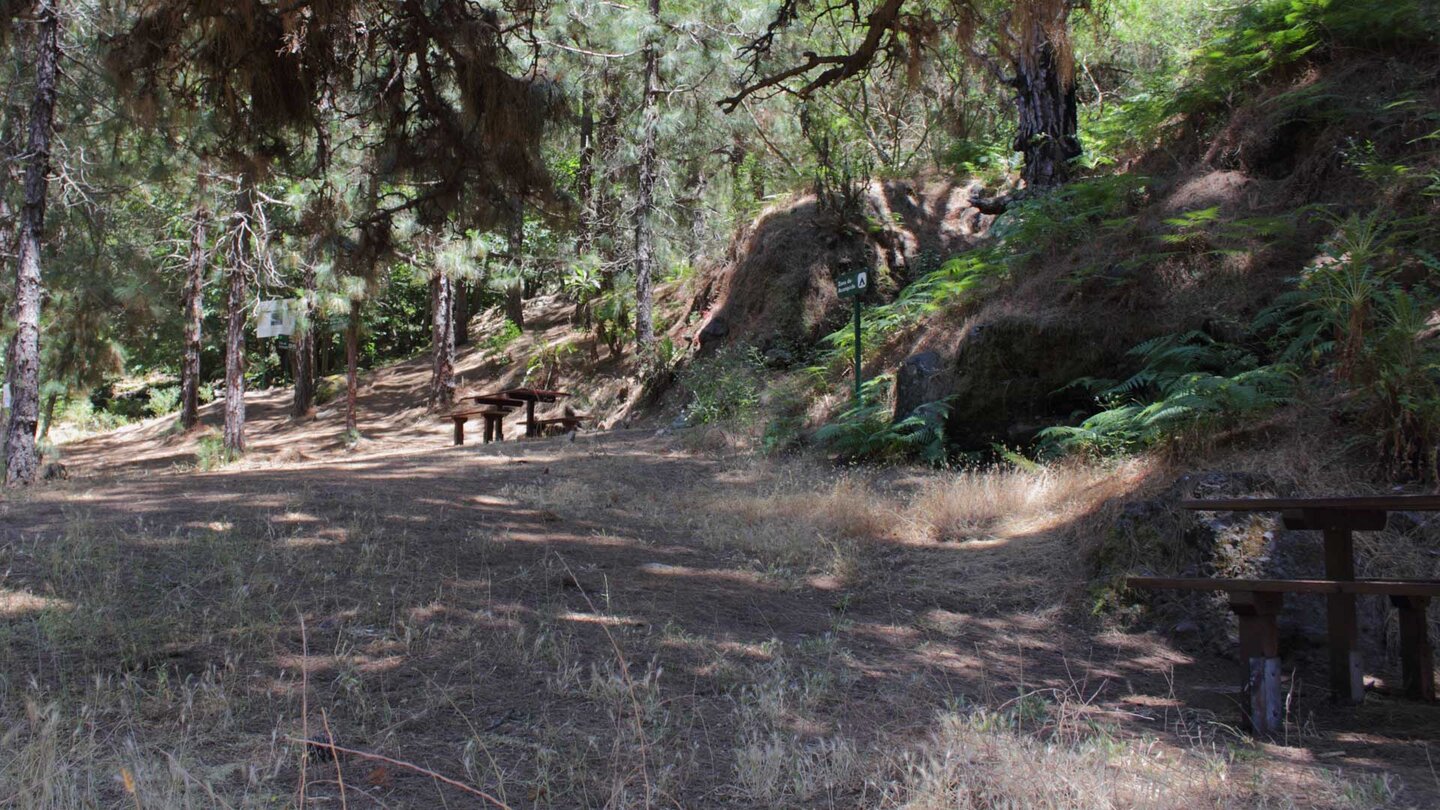 Areal der Zona de Acampa im Nationalpark auf der Insel La Palma