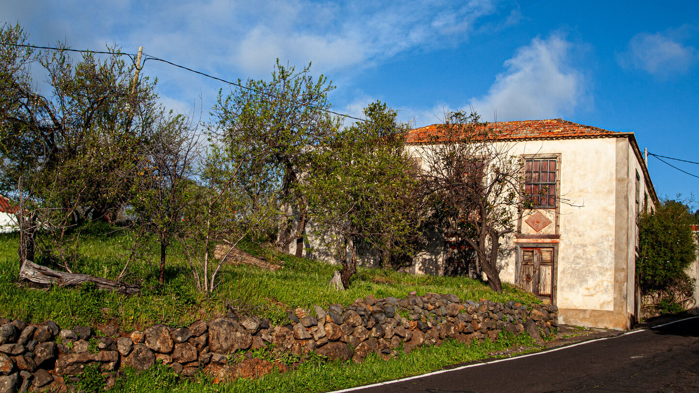 Vorgarten mit Obstbäumen in Las Tricias auf La Palma