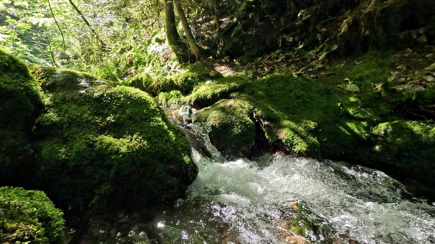 Wanderroute am Gottschlägbach