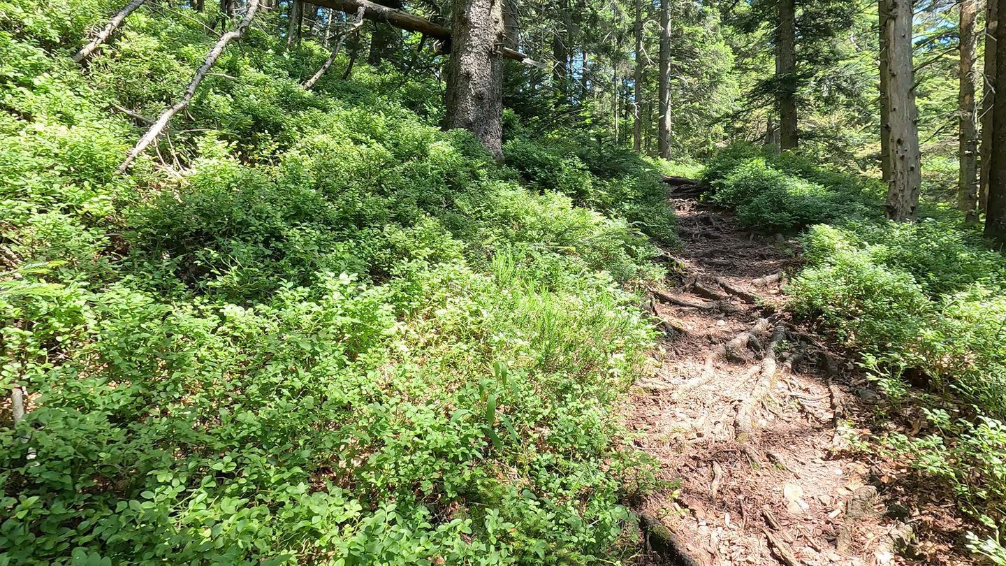 Wanderung über den Schlicker-Steig zum Karlsruher Grat