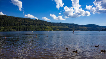 der Westweg verläuft entlang der Badestrände des Titisee