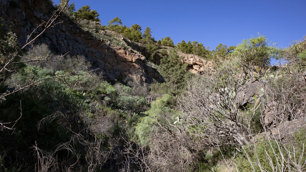 wandern in der Schlucht Barranco de Géñiga