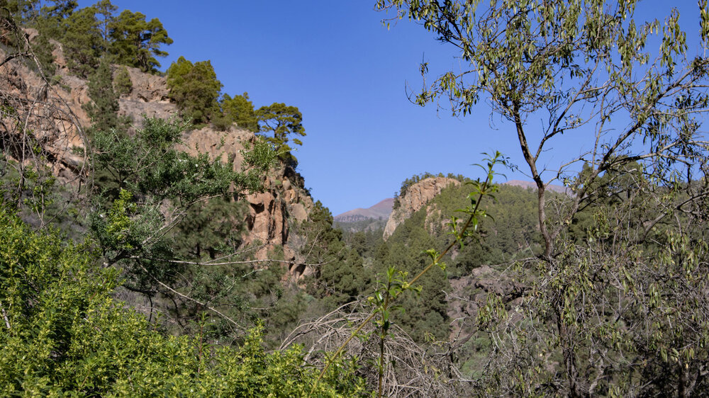 Wanderungen zum Barranco de Géñiga o de Las Vegas beginnen von Las Vegas